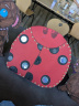 Une coccinelle